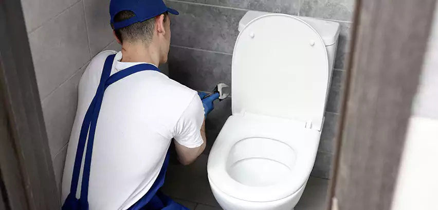 Toilet Lid Replacement in Cleburne